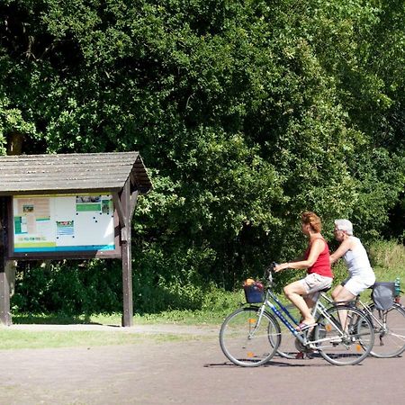 Appartementen - Bungalowpark Mooyeveld - Uniek Gelegen In De Duinen! Егмонд-Біннен Екстер'єр фото